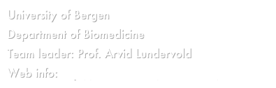 University of Bergen
Department of Biomedicine
Team leader: Prof. Arvid Lundervold
Web info: http://www.uib.no/biomedisin/en