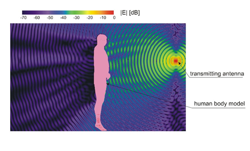 Electromagnetic field distribution in the proximity of human body